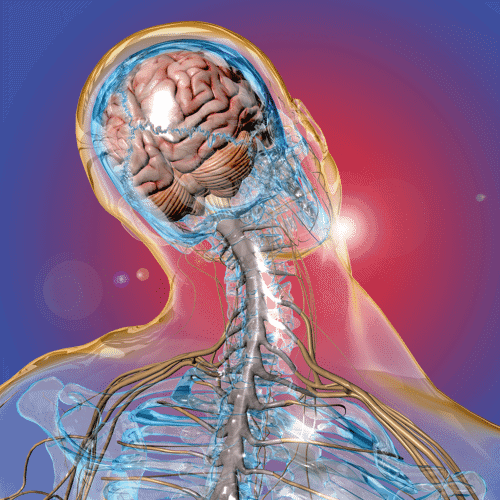 Imagen de una radiografía 3d de la cabeza. Las lesiones cerebrales y medulares pueden ser devastadoras, tanto física como emocionalmente. Las víctimas a menudo se enfrentan a facturas médicas abrumadoras, pérdida de ingresos y necesidades de rehabilitación a largo plazo. Encontrar el abogado adecuado para navegar por el complejo sistema legal se suma al estrés y la confusión. Cuando usted o un ser querido sufre una lesión cerebral o medular, cada decisión es importante. La representación legal equivocada podría significar perder la compensación que merece, prolongar su recuperación y soportar cargas financieras innecesarias. En R&G Personal Injury Lawyers comprendemos los retos a los que se enfrenta. Nuestro equipo de abogados expertos en lesiones cerebrales y de la columna vertebral está aquí para luchar por sus derechos y garantizar que reciba la indemnización completa que se merece. Con nuestra experiencia en la ley de lesiones personales, le guiaremos a través de cada paso del proceso legal, proporcionando atención personalizada y apoyo a lo largo del camino. No deje que su futuro penda de un hilo. Confíe en R&G Personal Injury Lawyers para que le defienda en estos momentos difíciles. Póngase en contacto con nosotros hoy para una consulta gratuita y permítanos ayudarle a reconstruir su vida con confianza.