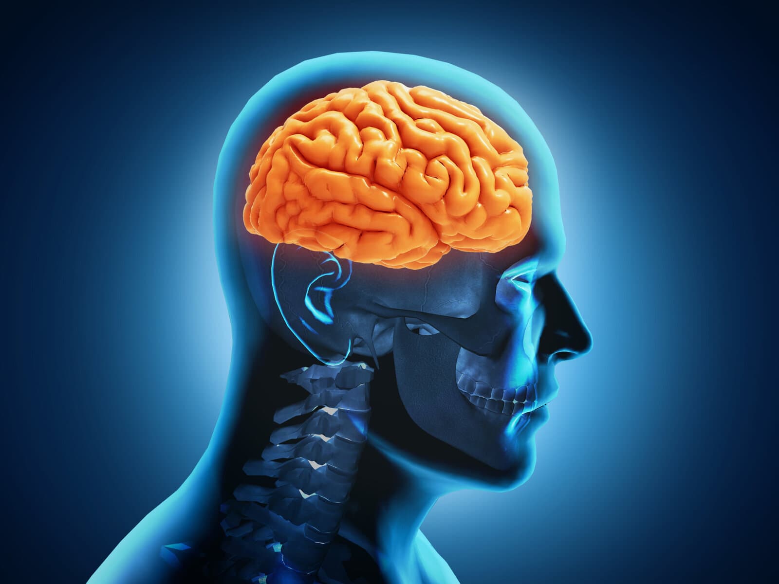 Imagen de una figura de hombre en 3d. Las lesiones cerebrales pueden tener consecuencias devastadoras para las personas y sus familias. Enfrentarse a las complejidades legales de un caso de lesión cerebral puede aumentar el estrés y la carga. Cuando usted o un ser querido ha sufrido una lesión cerebral debido a la negligencia de otra persona, el impacto físico, emocional y financiero puede ser abrumador. Necesita una representación legal cualificada para luchar por sus derechos y asegurarse de que recibe una indemnización justa. R&G Personal Injury Lawyers están aquí para ayudar. Nuestro equipo de abogados con experiencia en lesiones cerebrales Quad Cities se especializan en la representación de clientes con lesiones cerebrales. Entendemos los desafíos únicos que presentan estos casos y estamos dedicados a asegurar la compensación que se merece. Con nuestra experiencia y enfoque compasivo, le guiaremos a través de cada paso del proceso legal. Investigaremos su caso, reuniremos pruebas, consultaremos a expertos médicos y perseguiremos agresivamente su reclamación contra los responsables. No se enfrente a esta batalla solo. Confíe en R&G Personal Injury Lawyers para luchar por sus derechos y ayudarle a reconstruir su vida después de una lesión cerebral. Póngase en contacto con nosotros hoy mismo para una consulta gratuita.