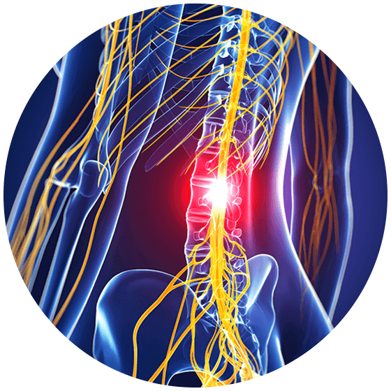 Imagen de una radiografía 3d de la espalda. Las lesiones cerebrales y de la columna vertebral son acontecimientos traumáticos que cambian la vida y pueden dejar a las víctimas con dificultades físicas, emocionales y económicas. Navegar por las complejidades jurídicas de las demandas por lesiones personales en estos casos puede ser abrumador, lo que aumenta el estrés y la carga. Hacer frente a las secuelas de una lesión cerebral o medular ya es bastante difícil. Lo último que necesita es tener que cargar con las batallas legales, las compañías de seguros y el complejo papeleo que conllevan. Sin la orientación de un experto, corre el riesgo de recibir una indemnización inadecuada o de perder todos sus derechos. R&G Personal Injury Lawyers entiende los desafíos únicos a los que se enfrentan las víctimas de lesiones cerebrales y de la columna vertebral. Nuestro equipo de abogados experimentados se especializa en esta área de la ley, proporcionando apoyo compasivo y representación agresiva para asegurar que sus derechos sean protegidos y reciba la compensación que se merece. Permítanos manejar las complejidades legales mientras usted se concentra en su recuperación - póngase en contacto con R&G Personal Injury Lawyers hoy para una consulta.