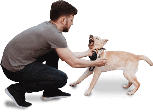 Image of a man holding a dog. Being a victim of a dog bite can be a terrifying experience. Dealing with the physical and emotional trauma, medical expenses, and legal complexities can make it even more challenging. Don't let a dog bite turn your life into a nightmare. Without proper legal representation, you may struggle to get the compensation you deserve, leaving you burdened with overwhelming financial stress. Gurvis Personal Injury Lawyers are here to fight for your rights as a dog bite victim. Our experienced team of dog bite lawyers understands the intricacies of personal injury law and will ensure that you receive the justice and compensation you deserve. Trust Gurvis Personal Injury Lawyers to guide you through the legal process and help you regain control of your life. Contact us today for a free consultation!