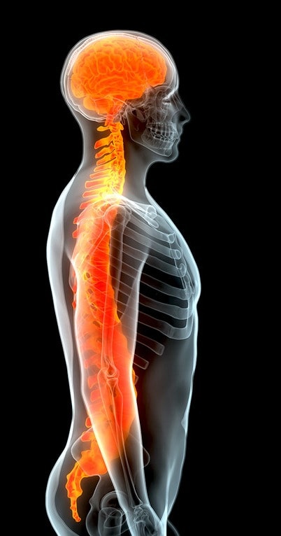 Imagen de una radiografía 3D de un hombre. Enfrentarse a lesiones personales puede ser una experiencia difícil y abrumadora. Desde las facturas médicas hasta los salarios perdidos, la carga financiera puede acumularse rápidamente. Encontrar el abogado de lesiones personales adecuado para luchar por sus derechos y obtener la compensación que se merece puede ser una tarea desalentadora. Las compañías de seguros intentarán todos los trucos posibles para minimizar su reclamación y pagarle lo menos posible. Sin una representación legal experta, puede sentirse impotente ante sus tácticas. No deje que se aprovechen de su situación. R&G Personal Injury Lawyers está aquí para ayudarle. Con nuestro equipo de abogados experimentados y dedicados, lucharemos incansablemente en su nombre para asegurarnos de que reciba la máxima indemnización por sus lesiones. Desde la negociación con las compañías de seguros hasta la representación ante los tribunales, tenemos la experiencia y los conocimientos necesarios para llevar su caso con cuidado y profesionalidad. No deje que su demanda por lesiones personales se convierta en otra estadística. Póngase en contacto con R&G Personal Injury Lawyers hoy para una consulta gratuita y permítanos luchar por la justicia y la compensación que se merece.