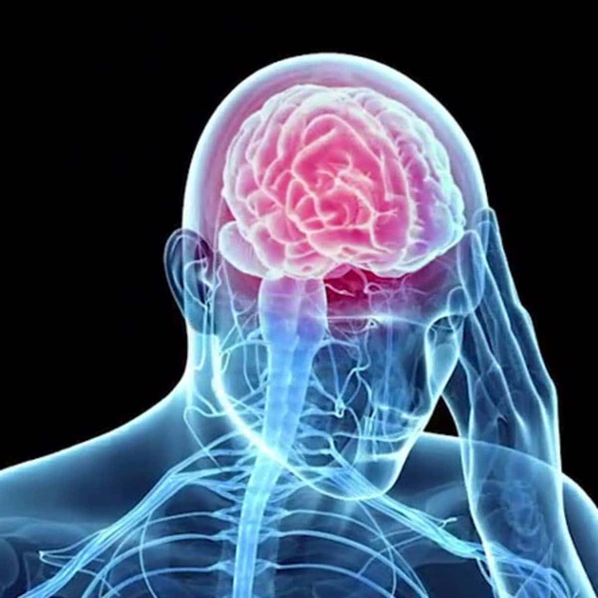 Imagen de figura de hombre en 3d sujetándose la cabeza. Las lesiones cerebrales traumáticas pueden tener efectos devastadores en la vida de los estudiantes. Desde limitaciones físicas a trastornos cognitivos, estas lesiones pueden obstaculizar su progreso académico y su bienestar general. Imagínese la frustración de un estudiante antes brillante y ambicioso que lucha por seguir el ritmo de sus compañeros debido a una lesión cerebral traumática. Sus sueños de un futuro exitoso se escapan mientras luchan con los desafíos diarios, sintiéndose aislados y solos. R&G Personal Injury Lawyers entiende el inmenso impacto de las lesiones cerebrales traumáticas en los estudiantes. Nuestro experimentado equipo de abogados se compromete a luchar por sus derechos y a garantizar que reciban la indemnización que merecen. Proporcionamos apoyo compasivo y orientación legal experta, capacitando a los estudiantes para recuperar el control de sus vidas y acceder a los recursos necesarios para la rehabilitación, la educación y los servicios de apoyo. Confíe en R&G Personal Injury Lawyers para defender su caso y asegurar un futuro mejor para los estudiantes afectados por lesiones cerebrales traumáticas.